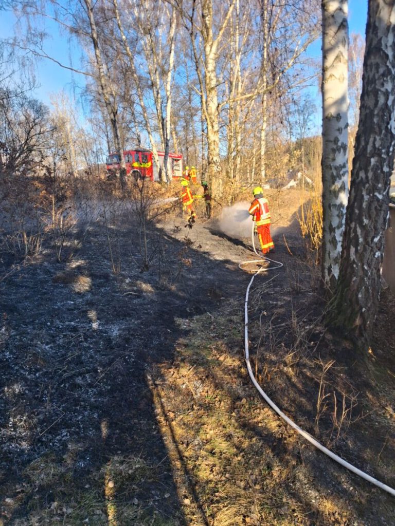 Vegetationsbrand am Beckelberg am 03.03.2026