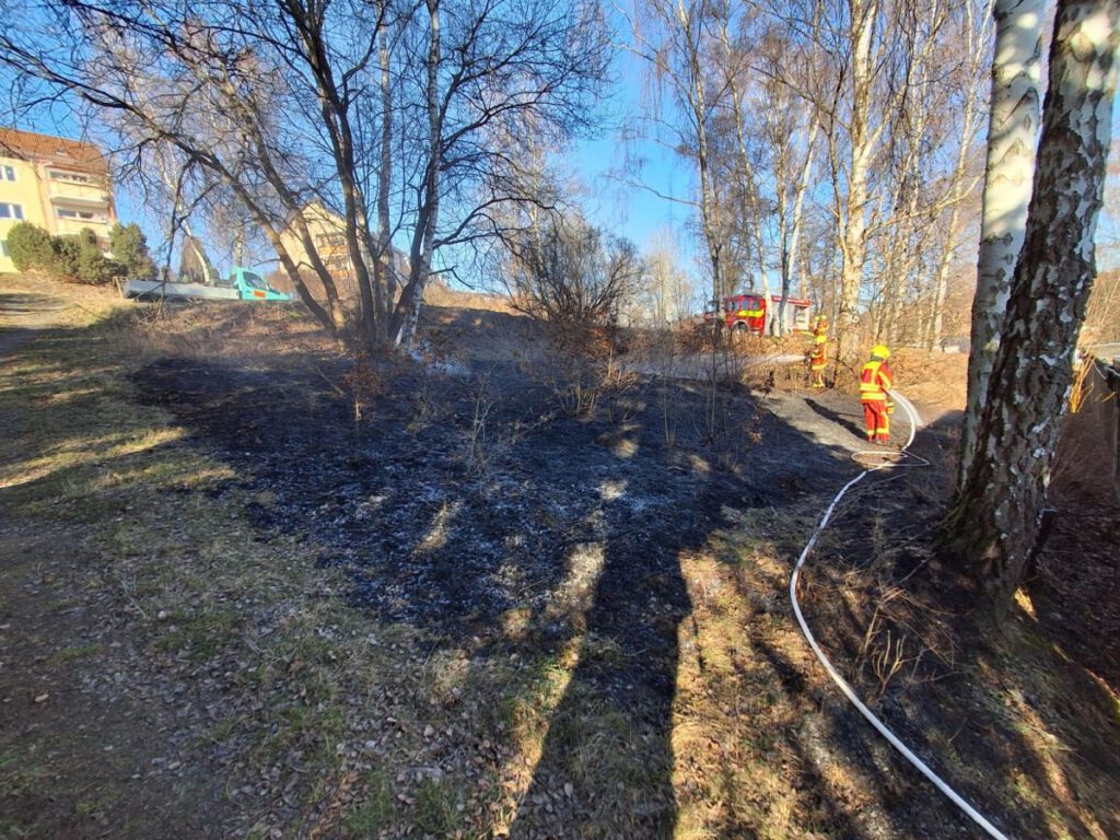Vegetationsbrand am Beckelberg am 03.03.2026